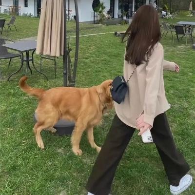 通灵王