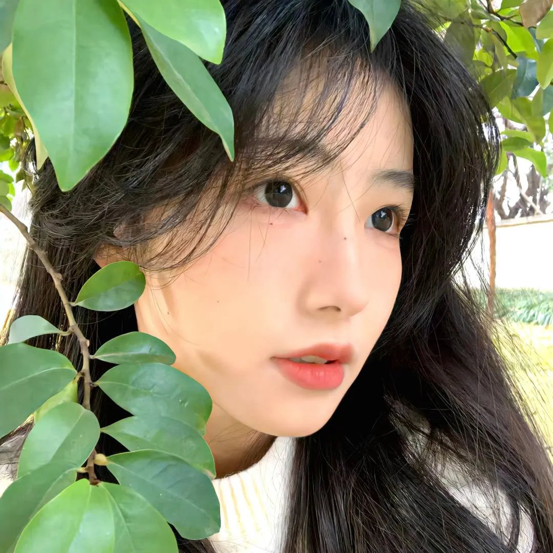 女驸马